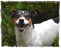 2012 06 12_5095_edited-2